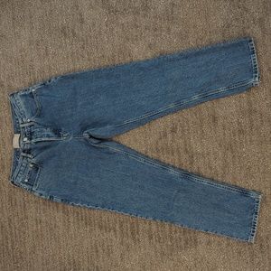 Everlane 90s Cheeky Jeans